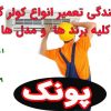 کولر گازی در پونک
